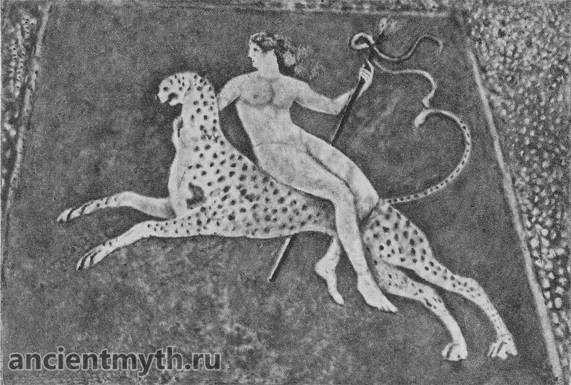 Dionysus on the Panther